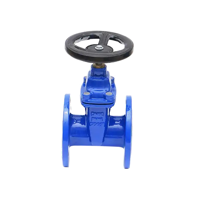 V&aacute;lvula de gaveta com flange padr&atilde;o DIN