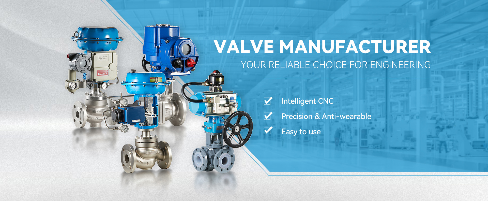 ball valve dn10